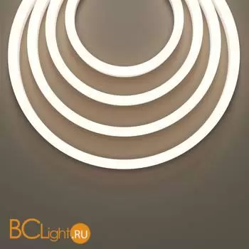 Гибкий неон 25x13 220В 8Вт/м 3000K IP65 50м - Фото 3