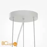 Подвесной светильник Maytoni Industria MOD471PL-L57WK - Фото 2