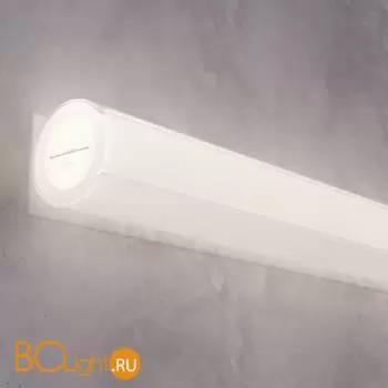 Гибкий неон D22 24В 16Вт/м 4000K IP67 5м Maytoni Led Strip 20089 - Фото 2