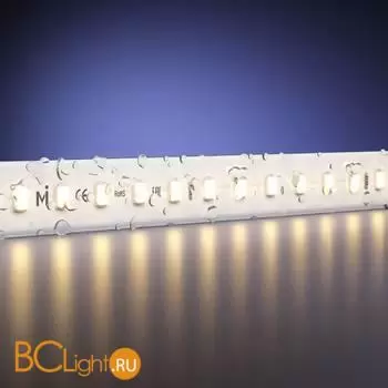 Светодиодная лента Ultra 220В 2835 12Вт/м 3000K IP 65 Maytoni Led Strip 201202 - Фото 0