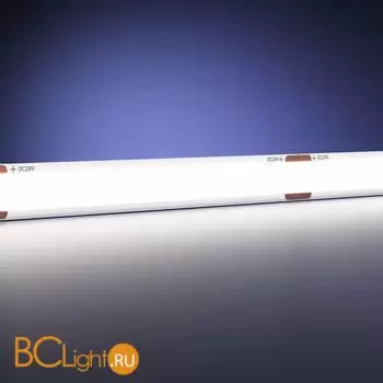 Светодиодная лента Ultra 24В COB 6Вт/м 6000К 5м IP 20 Maytoni Led Strip 201069 - Фото 0