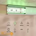 Светодиодная лента Base 12В 2835 9,6Вт/м Green 5м IP 20 Maytoni Led Strip 201172 - Фото 1