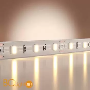 Светодиодная лента Base 12В 2835 4,8Вт/м 3000K 5м IP 20 Maytoni Led Strip 201162 - Фото 0