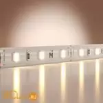 Светодиодная лента Base 12В 2835 4,8Вт/м 3000K 5м IP 20 Maytoni Led Strip 201162 - Фото 0