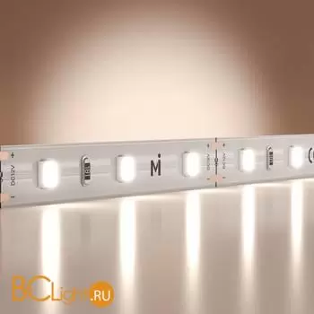 Светодиодная лента Base 12В 2835 4,8Вт/м 6000K 5м IP 20 Maytoni Led Strip 201164 - Фото 0