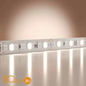 Светодиодная лента Base 12В 2835 9,6Вт/м 6000K 5м IP 20 Maytoni Led Strip 201170 - Фото 0