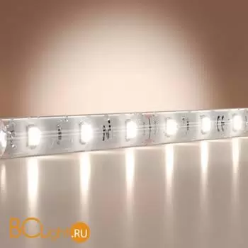 Светодиодная лента Base 12В 2835 9,6Вт/м 6000K 5м IP 65 Maytoni Led Strip 201176 - Фото 0