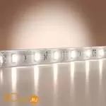 Светодиодная лента Base 12В 2835 9,6Вт/м 6000K 5м IP 65 Maytoni Led Strip 201176 - Фото 0
