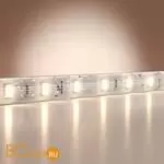 Светодиодная лента Base 24В 2835 9,6Вт/м 4000K 5м IP 65 Maytoni Led Strip 201181 - Фото 0