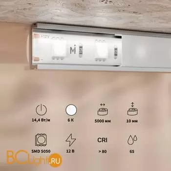 Светодиодная лента Base 12В 5050 14,4Вт/м 6000K 5м IP 65 Maytoni Led Strip 201188 - Фото 1