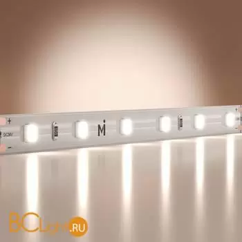 Светодиодная лента Base 24В 2835 9,6Вт/м 6000K 5м IP 20 Maytoni Led Strip 201179 - Фото 0
