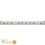 Светодиодная лента Base 24В 2835 9,6Вт/м 6000K 5м IP 20 Maytoni Led Strip 201179
