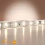 Светодиодная лента Base 12В 2835 9,6Вт/м 4000K 5м IP 65 Maytoni Led Strip 201175 - Фото 0