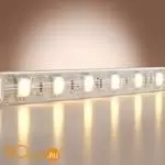 Светодиодная лента Base 24В 5050 14,4Вт/м 3000K 5м IP 65 Maytoni Led Strip 201192 - Фото 0