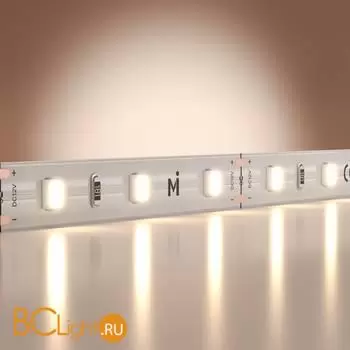 Светодиодная лента Base 12В 2835 4,8Вт/м 4000K 5м IP 20 Maytoni Led Strip 201163 - Фото 0