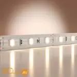 Светодиодная лента Base 12В 2835 4,8Вт/м 4000K 5м IP 20 Maytoni Led Strip 201163 - Фото 0