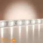Светодиодная лента Base 24В 2835 9,6Вт/м 6000K 5м IP 65 Maytoni Led Strip 201182 - Фото 0