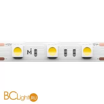 Светодиодная лента Base 12В 5050 14,4Вт/м 3000K 5м IP 20 Maytoni Led Strip 201183