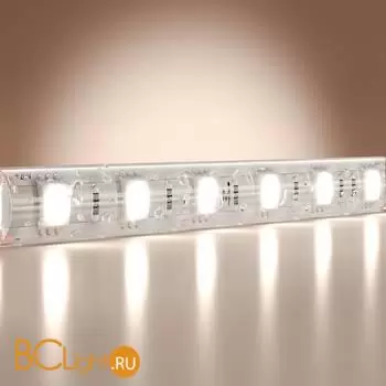 Светодиодная лента Base 24В 5050 14,4Вт/м 6000K 5м IP 65 Maytoni Led Strip 201194 - Фото 0