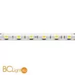 Светодиодная лента Base 24В 5050 14,4Вт/м 6000K 5м IP 65 Maytoni Led Strip 201194
