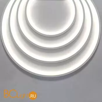 Термостойкий гибкий неон 1313 24В 14.4Вт/м 4000K IP67 5м Maytoni Led Strip 200941 - Фото 2