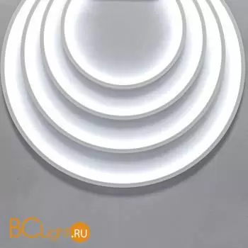 Термостойкий гибкий неон 1313 24В 14.4Вт/м 6000K IP67 5м Maytoni Led Strip 200951 - Фото 2