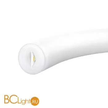 Гибкий неон D22 24В 16Вт/м 4000K IP67 5м Maytoni Led Strip 200891