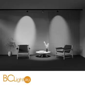 Трековый светильник Maytoni Lens TR217-2-15W3K-B - Фото 8