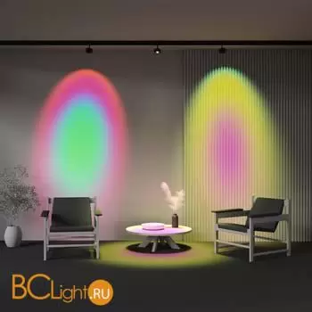 Трековый светильник Maytoni Lens TR217-2-15W3K-B - Фото 0