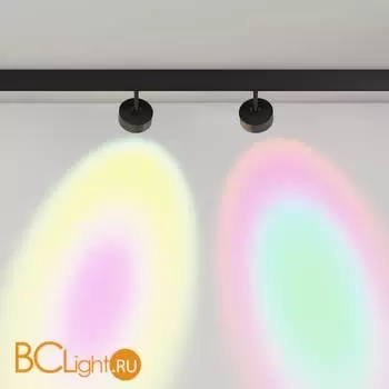 Трековый светильник Maytoni Lens TR217-2-15W3K-B - Фото 3