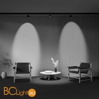 Трековый светильник Maytoni Lens TR217-2-15W4K-B - Фото 7