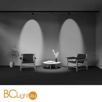 Трековый светильник Maytoni Lens TR217-2-15W4K-B - Фото 10