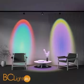 Трековый светильник Maytoni Lens TR217-2-15W4K-B - Фото 2