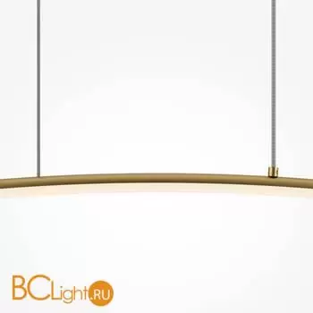 Подвесной светильник Maytoni Light Reflection MOD243PL-L18BSK - Фото 0