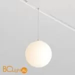 Трековый светильник Maytoni Luna TR039-2-5W3K-W - Фото 1