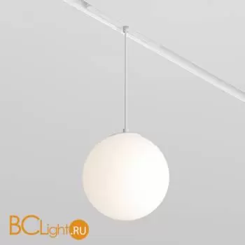 Трековый светильник Maytoni Luna TR039-2-5W4K-W - Фото 1