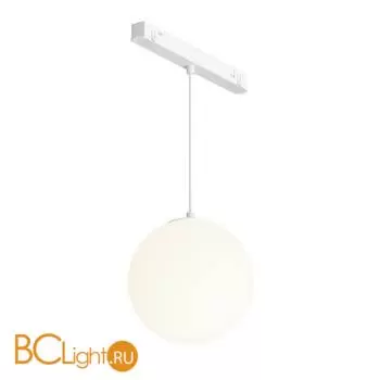 Трековый светильник Maytoni Luna TR039-2-5W4K-W