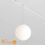 Трековый светильник Maytoni Luna TR039-2-5W4K-W - Фото 1