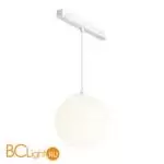 Трековый светильник Maytoni Luna TR039-2-5W4K-W