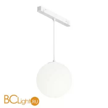 Трековый светильник Maytoni Luna TR039-4-5W3K-WW-DS-W