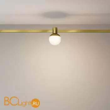 Трековый светильник Maytoni Luna new TR149-1-5W3K-BS - Фото 2