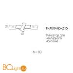 Фиксатор для накладного монтажа Maytoni Gravity серый TRA004HS-21S - Схема