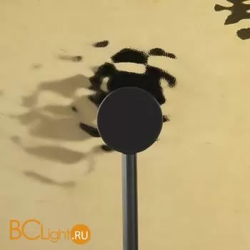 Настенный светильник Maytoni Mare MOD305WL-01B - Фото 3