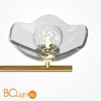 Подвесной светильник Maytoni Miracle MOD207PL-05BS - Фото 1