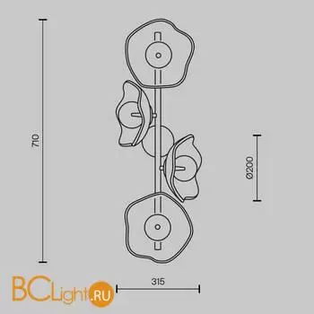 Бра Maytoni Miracle MOD207WL-04BS - Фото 5
