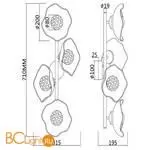 Бра Maytoni Miracle MOD207WL-04BS - Фото 6