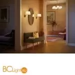 Люстра Maytoni Modesto MOD360PL-08BS - Фото 1