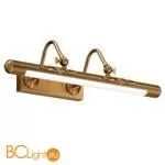 Подсветка для картин Maytoni Oculus MIR014WL-L10G3K