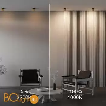 Встраиваемый светильник Maytoni Onda new DL024-12W-DTW-BMG - Фото 4