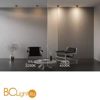 Встраиваемый светильник Maytoni Onda new DL024-12W-DTW-BMG - Фото 8